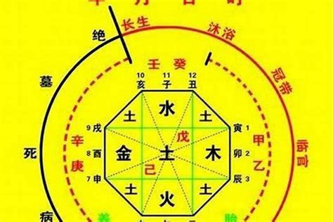 喜木火 忌金水|八字看你最适合的职业是什么